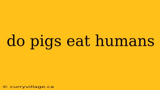 do pigs eat humans
