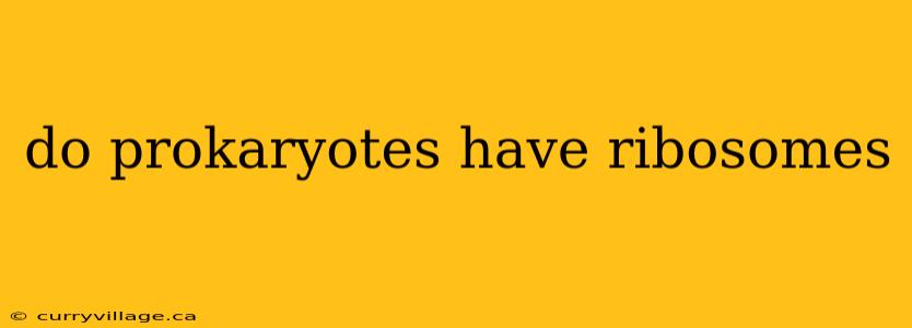do prokaryotes have ribosomes