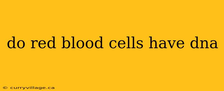 do red blood cells have dna