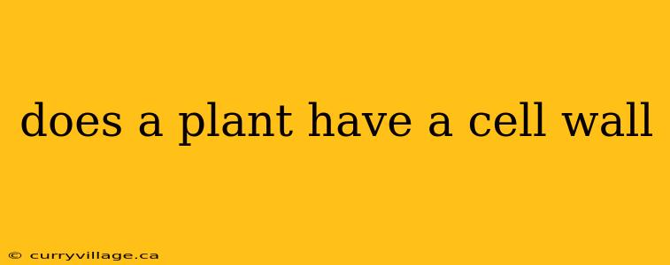 does a plant have a cell wall