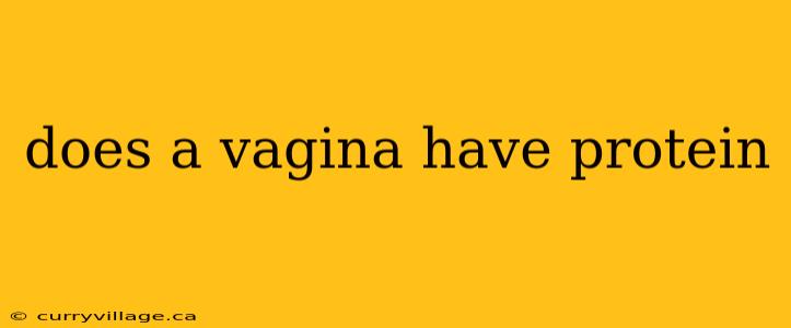 does a vagina have protein