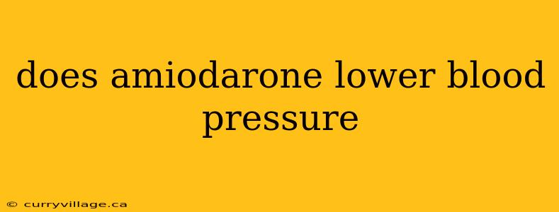 does amiodarone lower blood pressure