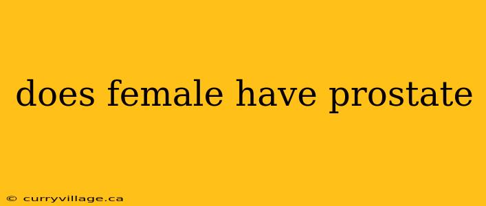 does female have prostate