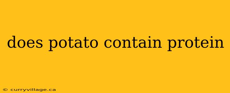 does potato contain protein