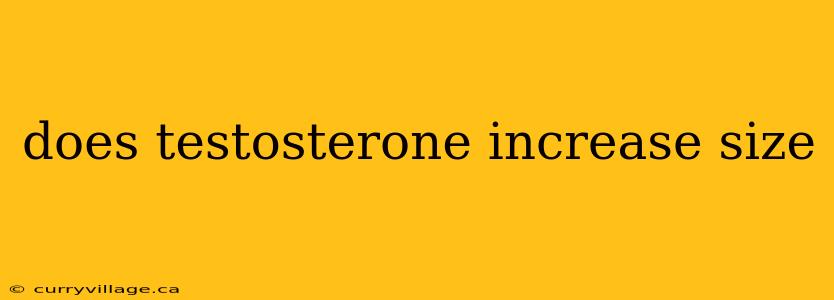 does testosterone increase size