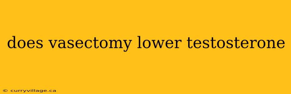 does vasectomy lower testosterone