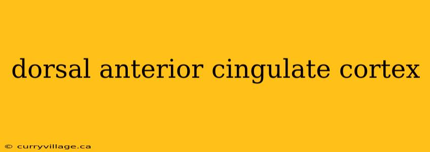 dorsal anterior cingulate cortex