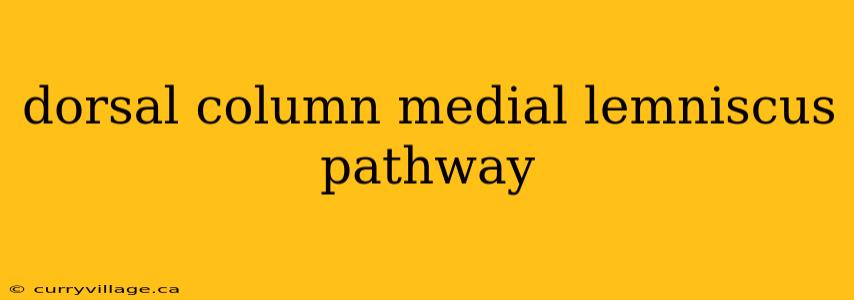 dorsal column medial lemniscus pathway