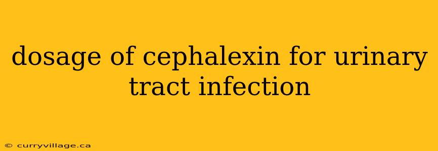 dosage of cephalexin for urinary tract infection