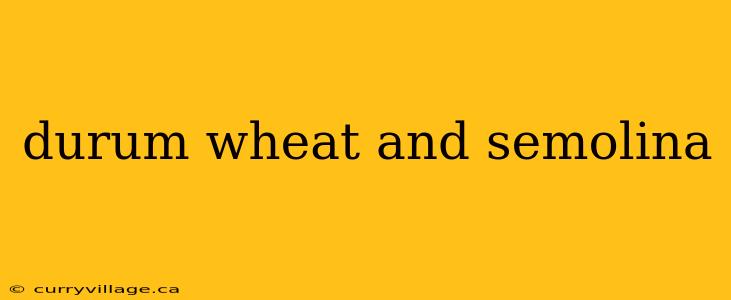 durum wheat and semolina