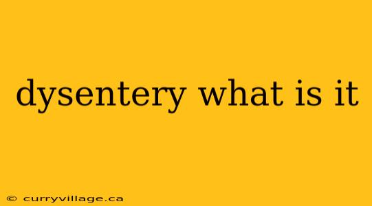 dysentery what is it
