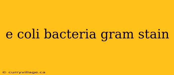 e coli bacteria gram stain
