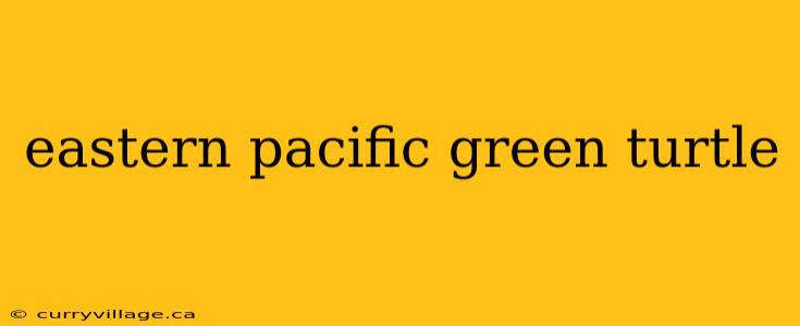 eastern pacific green turtle