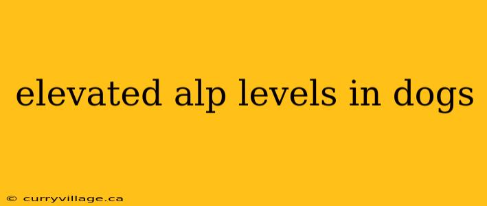elevated alp levels in dogs