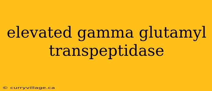 elevated gamma glutamyl transpeptidase