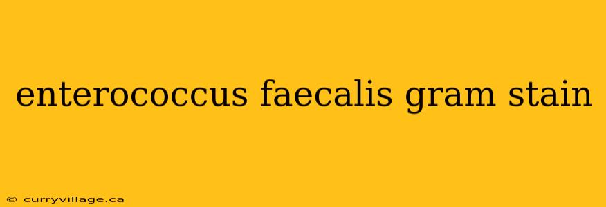enterococcus faecalis gram stain
