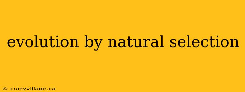 evolution by natural selection