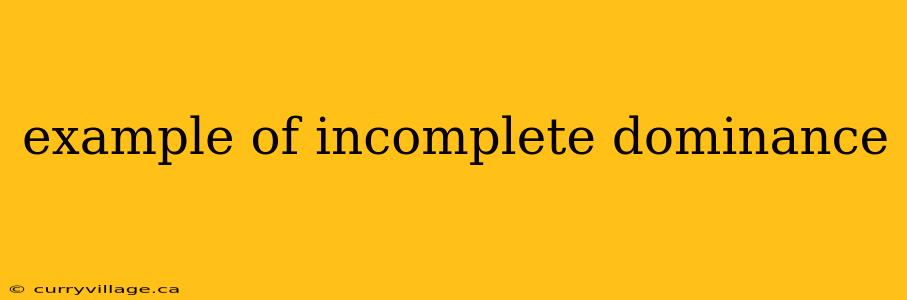 example of incomplete dominance