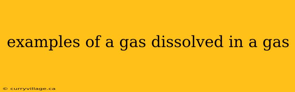 examples of a gas dissolved in a gas