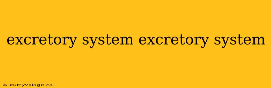 excretory system excretory system