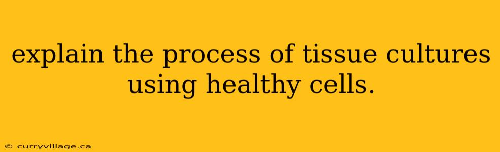 explain the process of tissue cultures using healthy cells.