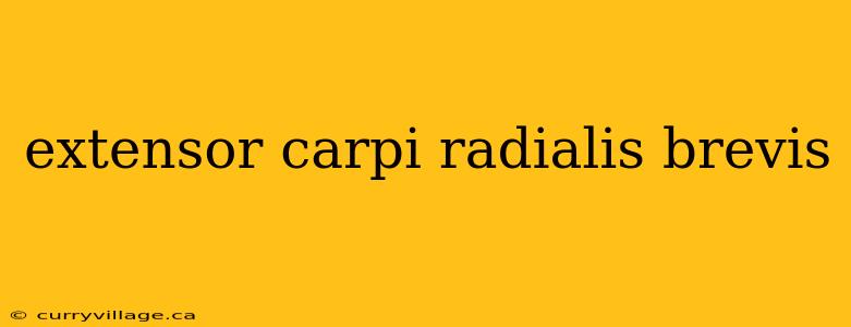 extensor carpi radialis brevis