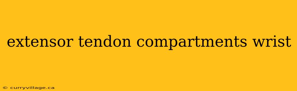 extensor tendon compartments wrist