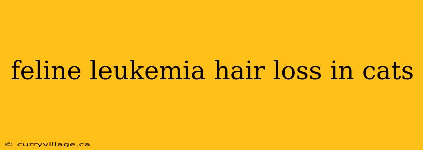 feline leukemia hair loss in cats