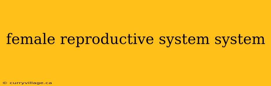 female reproductive system system