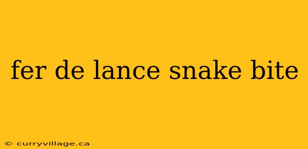 fer de lance snake bite