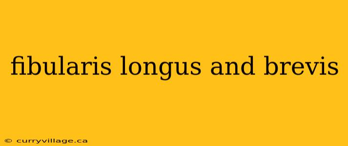 fibularis longus and brevis