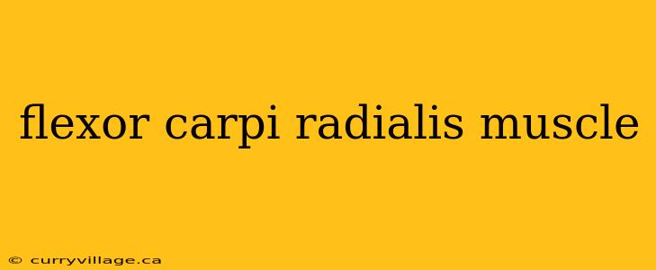 flexor carpi radialis muscle