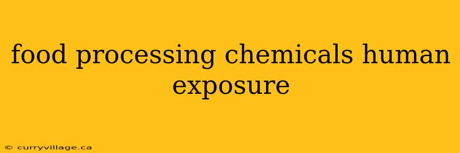food processing chemicals human exposure