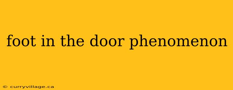 foot in the door phenomenon