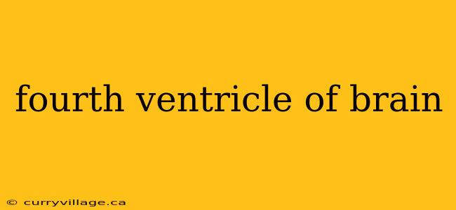 fourth ventricle of brain