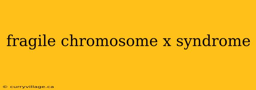 fragile chromosome x syndrome