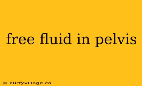 free fluid in pelvis