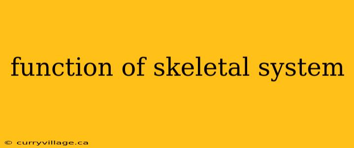 function of skeletal system