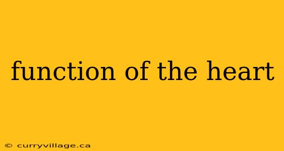 function of the heart