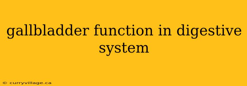 gallbladder function in digestive system