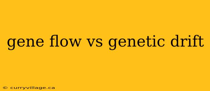 gene flow vs genetic drift