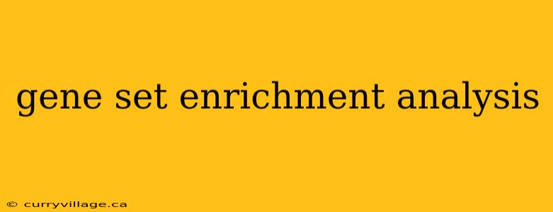 gene set enrichment analysis