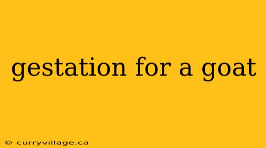 gestation for a goat