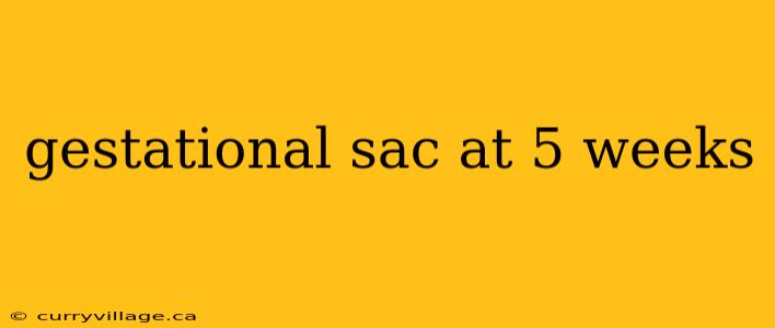 gestational sac at 5 weeks