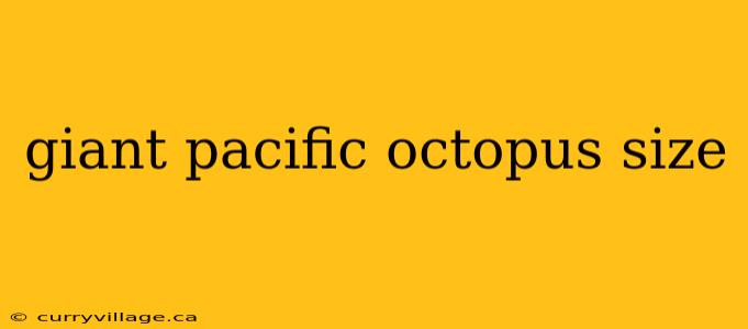 giant pacific octopus size