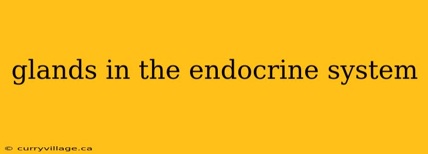 glands in the endocrine system