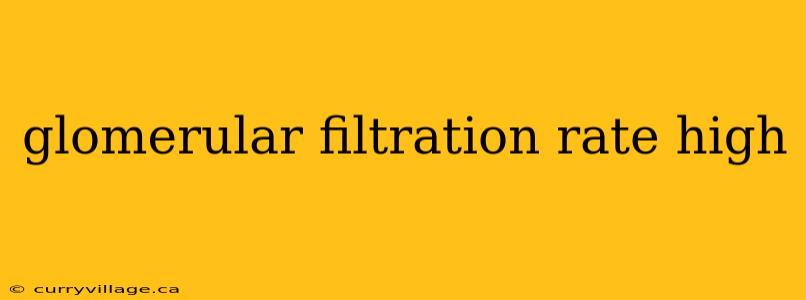 glomerular filtration rate high