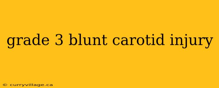 grade 3 blunt carotid injury