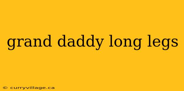 grand daddy long legs
