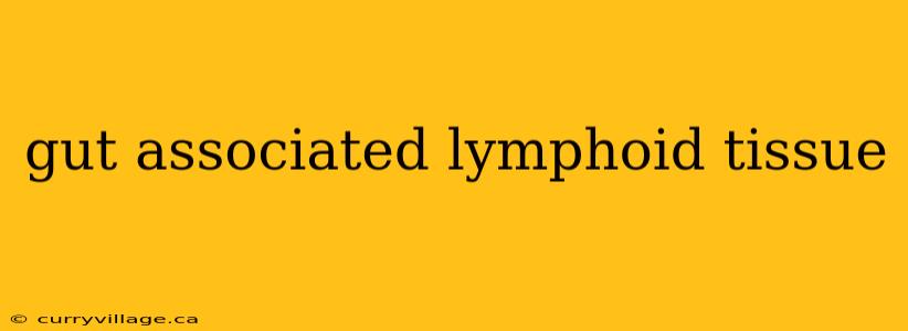 gut associated lymphoid tissue